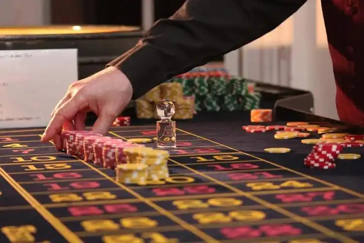 win855 bingo